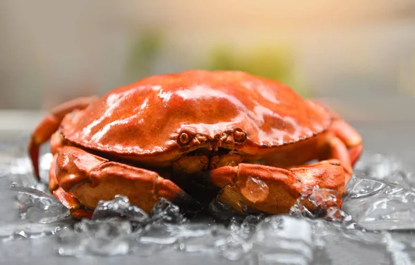Red crabs on ice - Close up of stone crab steamed in the seafood
