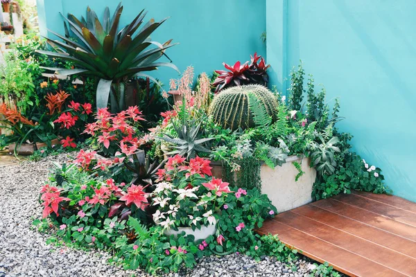 Trädgårdsskötsel och dekoration inomhus microgreen växthus envir — Stockfoto