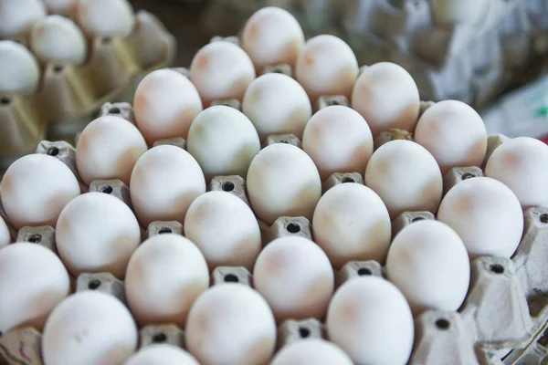 Продукция яйца свежие с фермы органические - Свежие яйца белые утки — стоковое фото