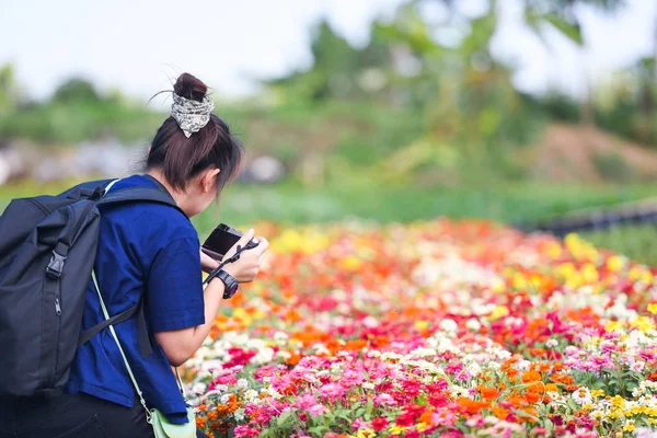 Photographer taking photo and shooting flower bloom in the garde — Stock Photo, Image