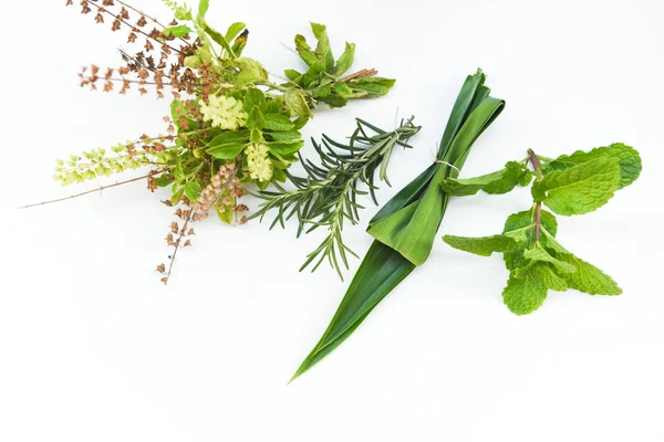 Kitchen herb garden concept - Natural fresh herbs and spice on w — 스톡 사진