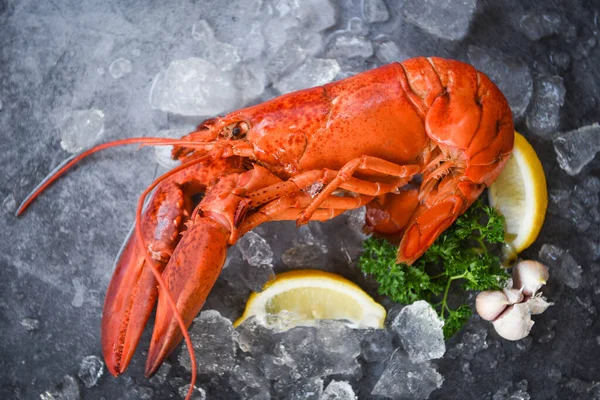 Fresh lobster food on a black plate background - red lobster din