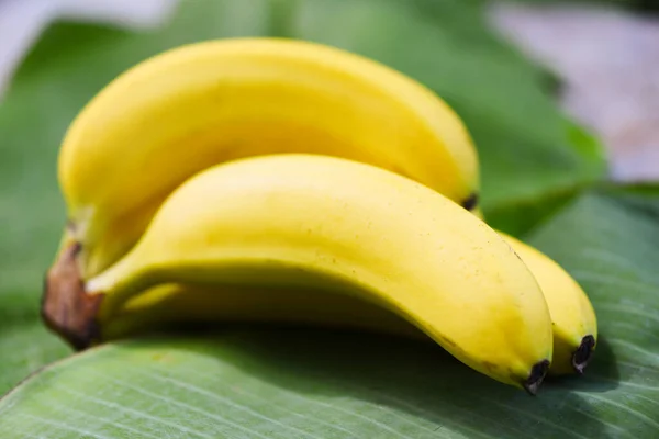 Banana sullo sfondo foglia di banana nel frutto estivo — Foto Stock