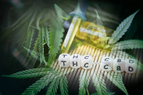 Cbd olie hennep producten cannabis blad aromatherapie kruidenolie bott — Stockfoto