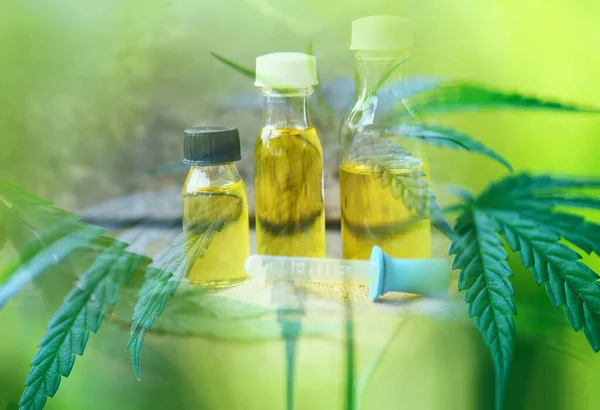 cbd oil hemp products cannabis leaf aromatherapy herbal oil bott