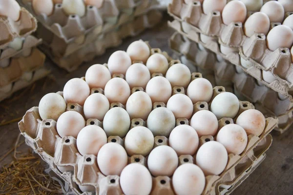 Fresh eggs white duck egg box - produce eggs fresh from the farm Stock Picture