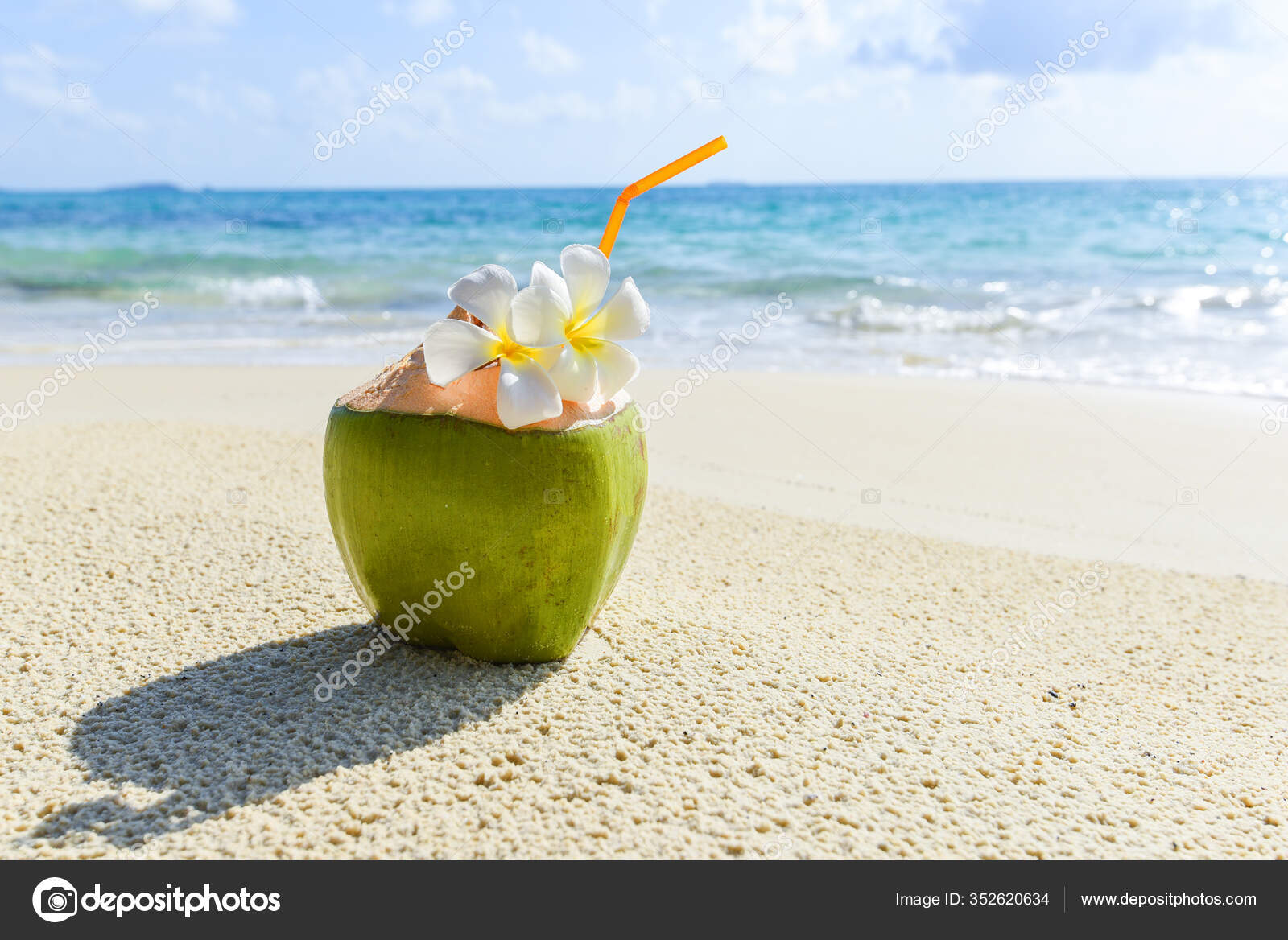 Buah Tropis Kelapa Pada Pasir Latar Pantai Air Latar Belakang — Foto Stok ©  poringdown@gmail.com #352620634, image size:1600x1168