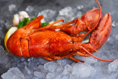 Red lobster dinner seafood with herb spices lemon parsley served on table and ice in the restaurant gourmet food healthy boiled lobster cooked / Fresh lobster food on a black plate background