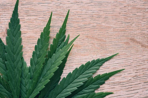 Marijuana Leaf Wooden Background Top View Cannabis Leaves Hemp Plant — Stockfoto