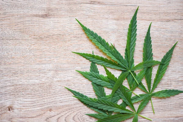 Cannabis Blad Hampa Växt För Medicinsk Marijuana Blad Trä Bakgrund — Stockfoto