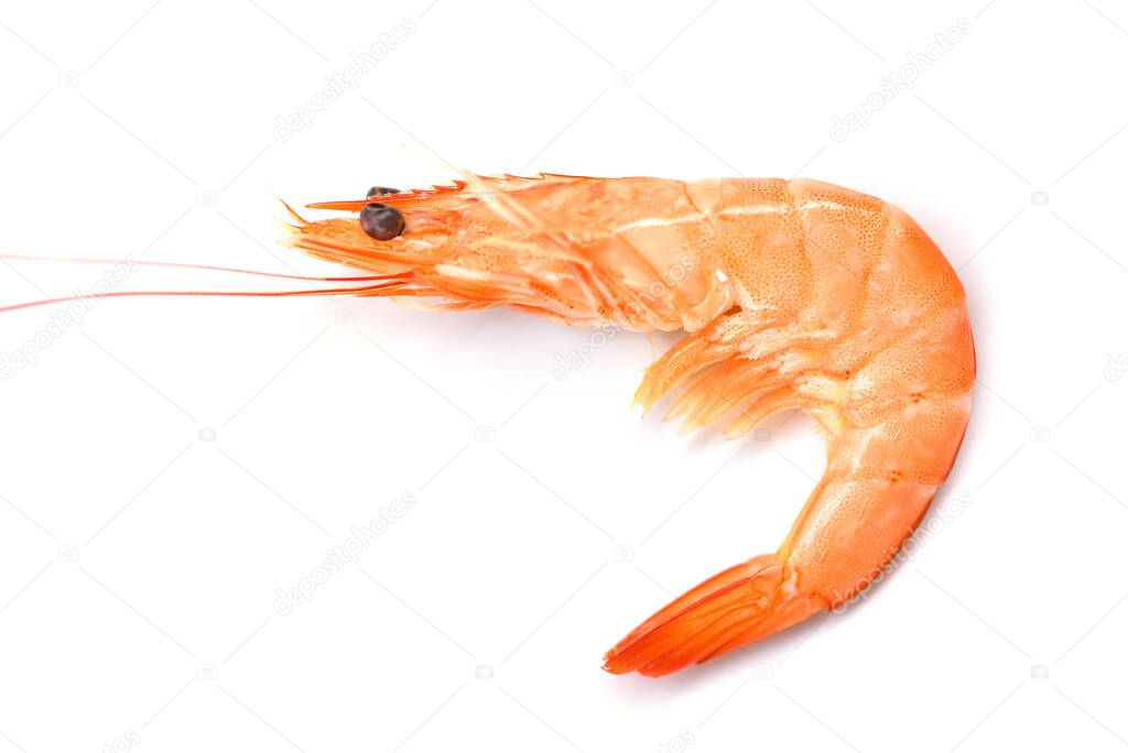 Shrimp isolated on white background /  cooking seafood shrimps prawns served white background  , selective focus