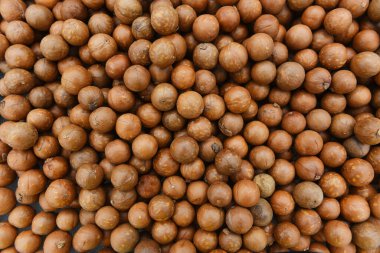 Macadamia fındık doku Kurutulmuş / Taze macadamia fındık kurutma için doğal yüksek protein kabuklu arka plan
