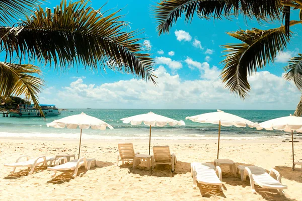 Tropical Holiday coconut leaf palm tree on the beach with sun light on blue sky sea and ocean background / Summer vacation nature travel beautiful summer landscape with chair beach umbrella on sand