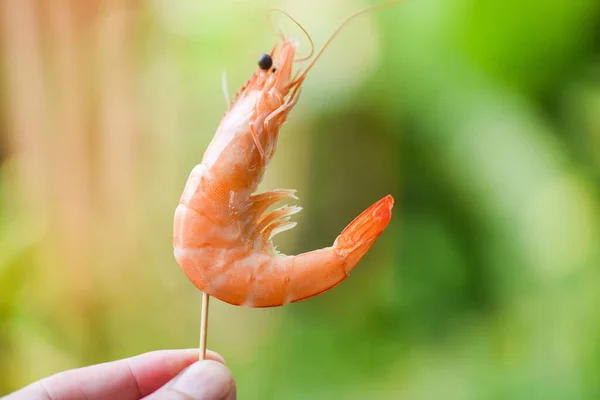 Tusuk Udang Tangan Dan Latar Belakang Alam Udang Kerang Makanan — Stok Foto