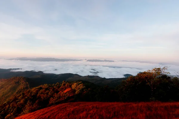Bela Névoa Topo Montanha Antes Nascer Sol Pucco Mountain Tailândia — Fotografia de Stock