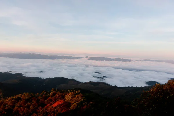 美丽的雾在山顶在日出前在泰国普考山 — 图库照片