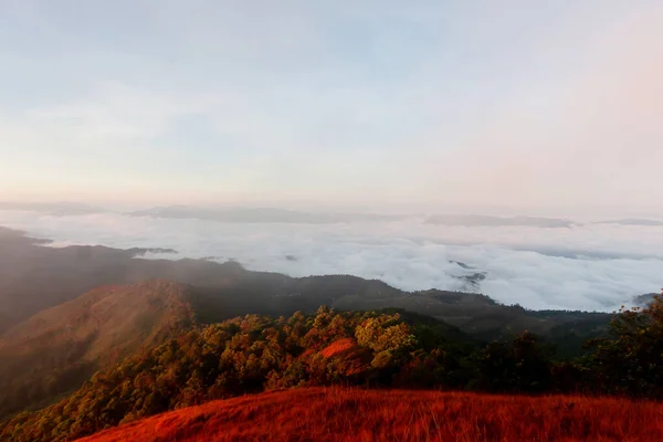 Bela Névoa Topo Montanha Antes Nascer Sol Pucco Mountain Tailândia — Fotografia de Stock