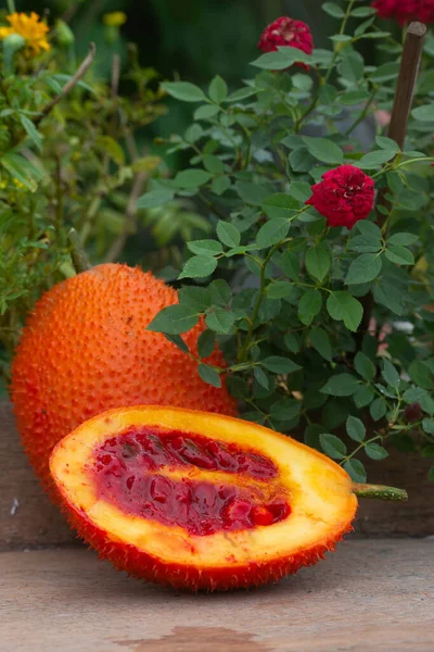 Gac Frutti Della Thailandia Hanno Medicina Sul Tavolo Legno — Foto Stock