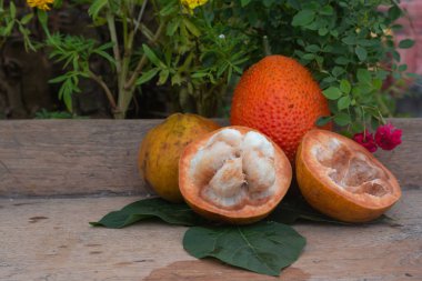 Santol meyvesi doğa arka planında izole