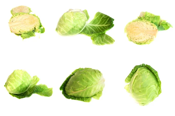 Cabbage Cut Half Fresh Garden Isolate White Background — Stock Photo, Image