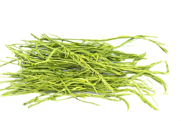 Klettern Wattle Oder Akazien Gemüse Isolieren Auf Weißem Hintergrund — Stockfoto