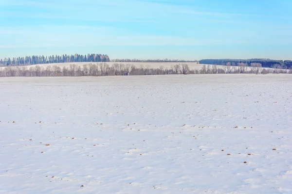 Beauté de la nature en hiver — Photo