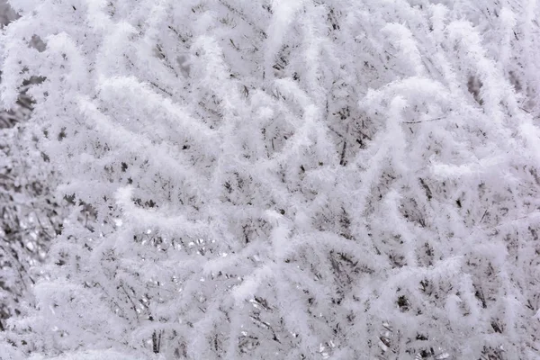 La belleza de la naturaleza en invierno — Foto de Stock