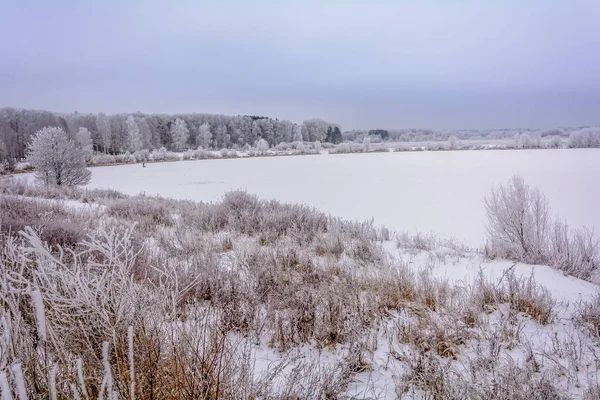 Bellezza della natura in inverno — Foto Stock