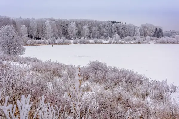 Beleza da natureza no inverno — Fotografia de Stock