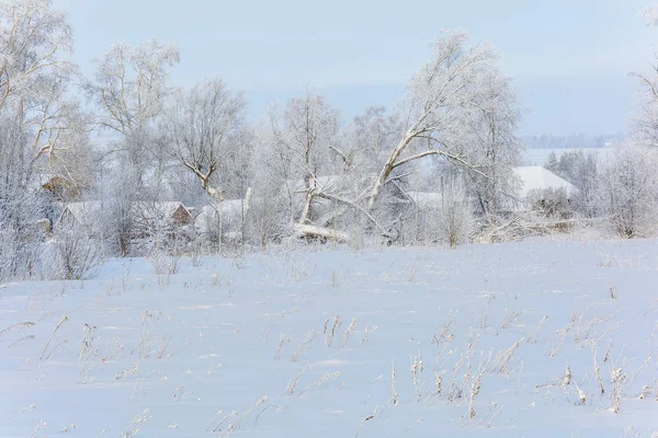 Ομορφιά της φύσης το χειμώνα — Φωτογραφία Αρχείου