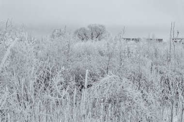 Kış aylarında doğanın güzelliği