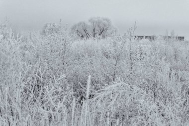 Kış aylarında doğanın güzelliği