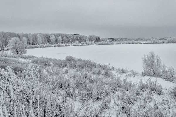 Schoonheid van de natuur in de winter — Stockfoto