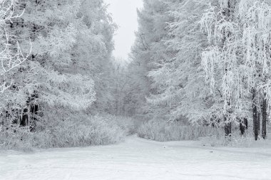 Kış aylarında doğanın güzelliği