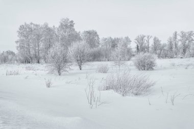 Kış aylarında doğanın güzelliği