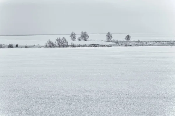 冬の自然の美しさ — ストック写真