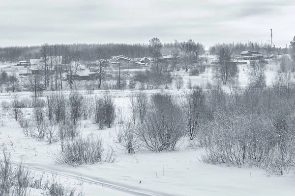 Красота природы зимой — стоковое фото