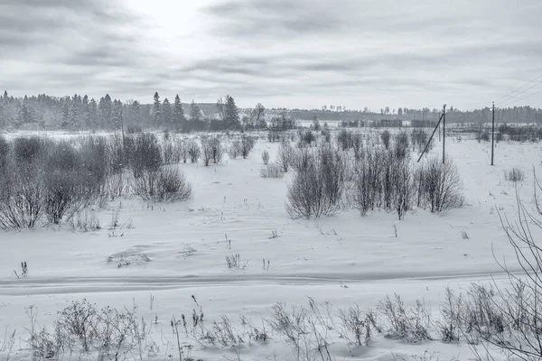 Bellezza della natura in inverno — Foto Stock