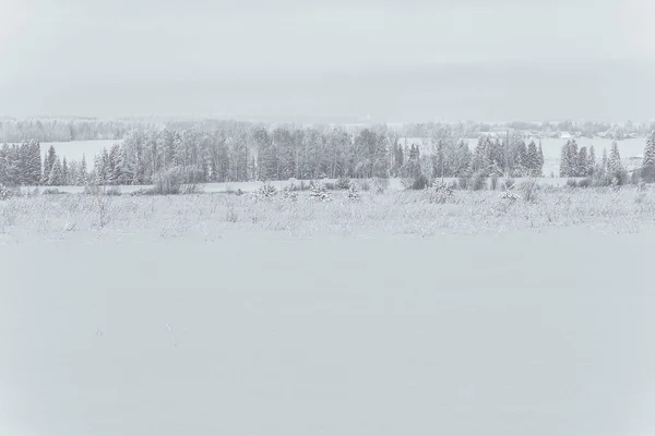 Schoonheid van de natuur in de winter — Stockfoto