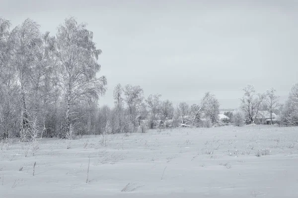 Beleza da natureza no inverno — Fotografia de Stock