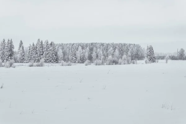 Bellezza della natura in inverno — Foto Stock