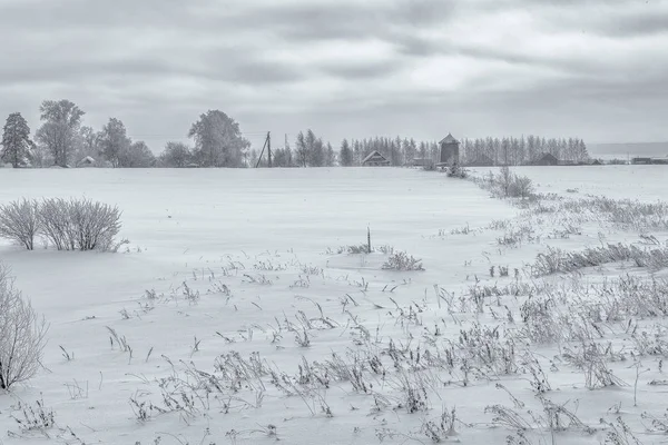 Beauté de la nature en hiver — Photo