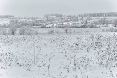 Kış aylarında doğanın güzelliği