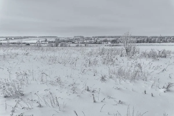 Schoonheid van de natuur in de winter — Stockfoto
