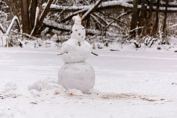 Figure Bonhomme Neige Tient Dans Défrichement Dans Forêt — Photo