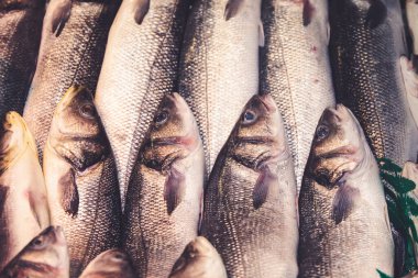 Taze Akdeniz Balığı İspanya 'nın Mlaga kentindeki bir pazar yerinde satılmaya hazır. İspanyol otantik gastronomi kültürü.