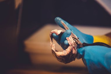 Taze Akdeniz Balığı İspanya 'nın Mlaga kentindeki bir pazar yerinde satılmaya hazır. İspanyol otantik gastronomi kültürü.