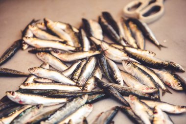 Taze Akdeniz Balığı İspanya 'nın Mlaga kentindeki bir pazar yerinde satılmaya hazır. İspanyol otantik gastronomi kültürü.