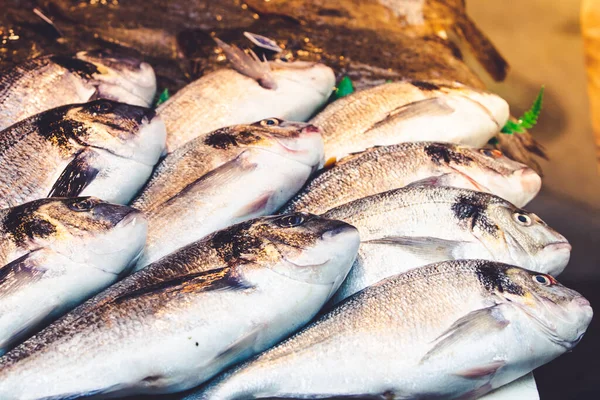 Verse Mediterrane Vis Bereid Worden Verkocht Een Markt Mlaga Spanje — Stockfoto