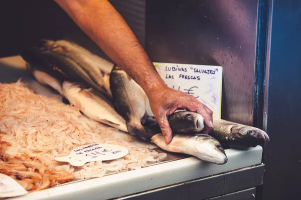 Verse Mediterrane Vis Bereid Worden Verkocht Een Markt Mlaga Spanje — Stockfoto